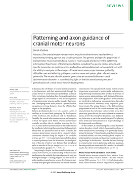 Patterning and Axon Guidance of Cranial Motor Neurons