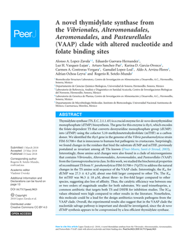 A Novel Thymidylate Synthase from the Vibrionales, Alteromonadales, Aeromonadales, and Pasteurellales (VAAP) Clade with Altered Nucleotide and Folate Binding Sites