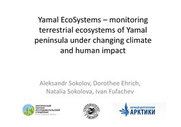 Yamal Ecosystems – Monitoring Terrestrial Ecosystems of Yamal Peninsula Under Changing Climate and Human Impact