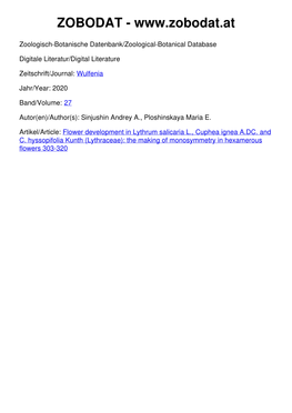 Flower Development in Lythrum Salicaria L., Cuphea Ignea A. DC. and C. Hyssopifolia Kunth (Lythraceae): the Making of Monosymmetry in Hexamerous Flowers Andrey A