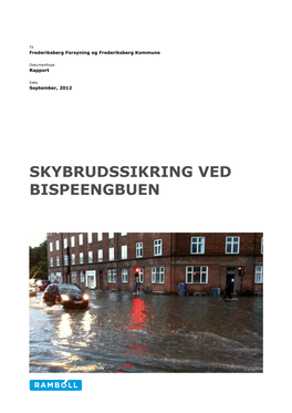 Skybrudssikring Ved Bispeengbuen