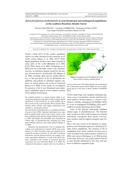 Batrachochytrium Dendrobatidis in Near Threatened and Endangered Amphibians in the Southern Brazilian Atlantic Forest