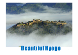 Himeji Castle - World Heritage Site Beautiful Hyogo