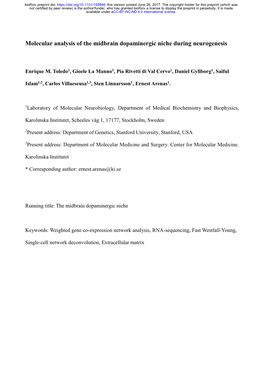 Molecular Analysis of the Midbrain Dopaminergic Niche During Neurogenesis