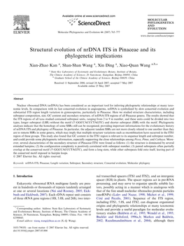 Structural Evolution of Nrdna ITS in Pinaceae and Its Phylogenetic Implications