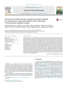 Silenced Rice in Both Cytosolic Ascorbate Peroxidases Displays Pre-Acclimation to Cope with Oxidative Stress Induced by 3-Aminot