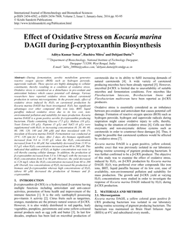 Effect of Oxidative Stress on Kocuria Marina DAGII During Β-Cryptoxanthin Biosynthesis