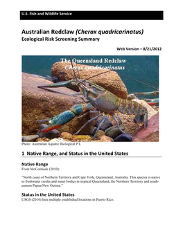 Cherax Quadricarinatus) Ecological Risk Screening Summary