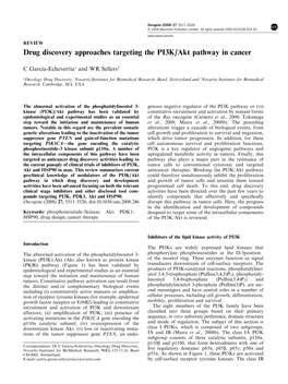 Drug Discovery Approaches Targeting the PI3K/Akt Pathway in Cancer