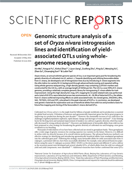 Genomic Structure Analysis of a Set of Oryza Nivara Introgression