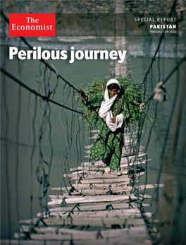 Perilous Journey