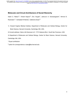 Molecular and Circuit Architecture of Social Hierarchy