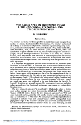 The Ascus Apex in Lichenized Fungi I. the Lecanora-, Peltigera- and Teloschistes-Tyfes