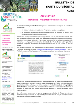Oléiculture Bulletin De Sante Du Végétal Corse