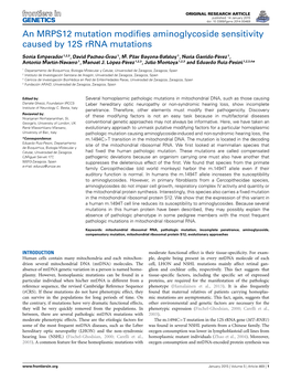 An MRPS12 Mutation Modifies Aminoglycoside