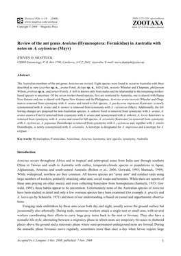 Zootaxa, Review of the Ant Genus Aenictus (Hymenoptera: Formicidae) in Australia with