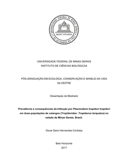 Dissertação Oscar Hernandes Cordoba 2017.Pdf