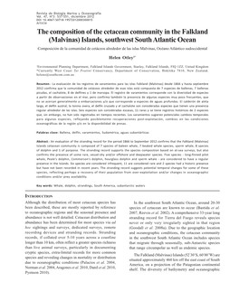 The Composition of the Cetacean Community in the Falkland