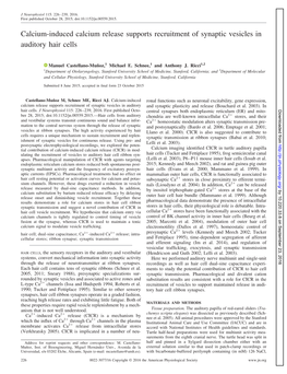 Calcium-Induced Calcium Release Supports Recruitment of Synaptic Vesicles in Auditory Hair Cells