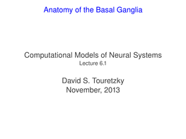 Anatomy of the Basal Ganglia Computational Models of Neural