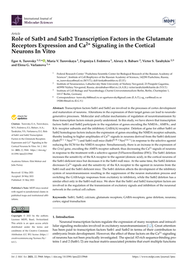 Role of Satb1 and Satb2 Transcription Factors in the Glutamate Receptors Expression and Ca2+ Signaling in the Cortical Neurons in Vitro