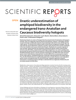 Drastic Underestimation of Amphipod Biodiversity in the Endangered