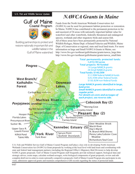 Nawca in Me Summary 07.Pmd