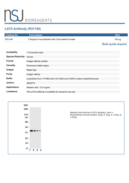 LAT2 Antibody (R31149)