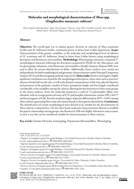 Molecular and Morphological Characterization of Musa Spp