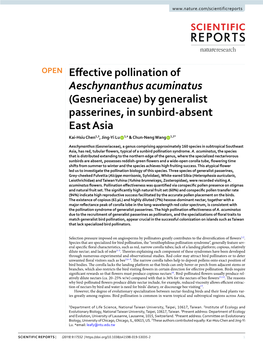 Effective Pollination of Aeschynanthus Acuminatus