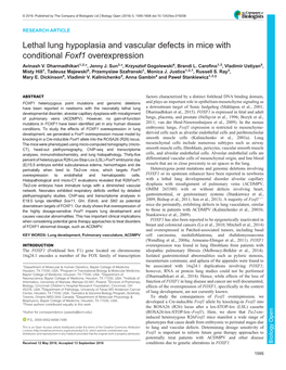 Lethal Lung Hypoplasia and Vascular Defects in Mice with Conditional Foxf1 Overexpression Avinash V