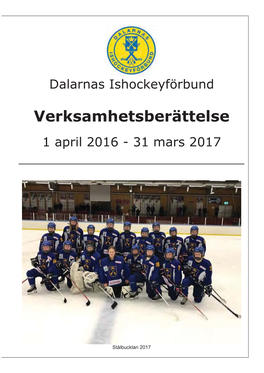 Verksamhetsberättelse 1 April 2016 - 31 Mars 2017