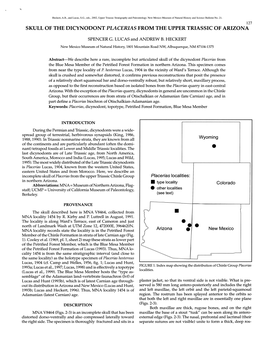 Skull of the Dicynodont Placerias from the Upper Triassic of Arizona
