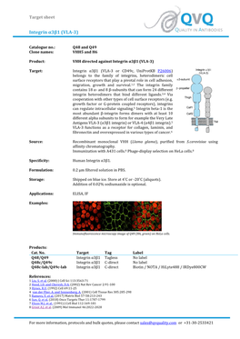 Target Sheet