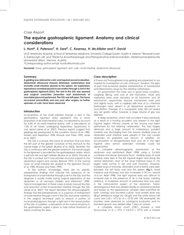 The Equine Gastrosplenic Ligament: Anatomy and Clinical Considerations L