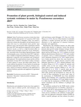 Promotion of Plant Growth, Biological Control and Induced Systemic Resistance in Maize by Pseudomonas Aurantiaca JD37