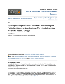 Exploring the Visegrád-Russia Connection: Understanding the Political and Economic Ramifications of Sanction Policies Four Year