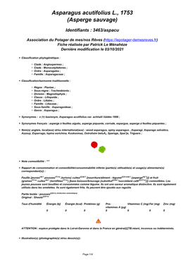 Asparagus Acutifolius L., 1753 (Asperge Sauvage)