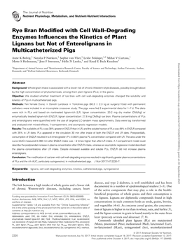 Rye Bran Modified with Cell Wall–Degrading Enzymes Influences