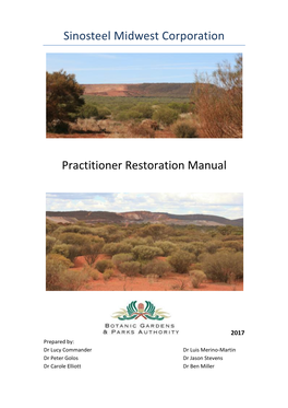 Sinosteel Midwest Corporation Practitioner Restoration Manual