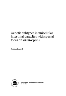 Genetic Subtypes in Unicellular Intestinal Parasites with Special Focus on Blastocystis