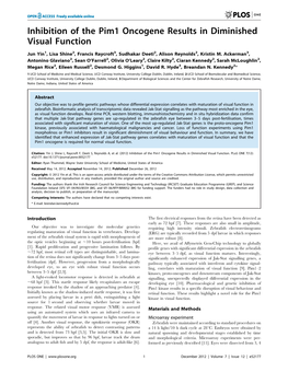 Inhibition of the Pim1 Oncogene Results in Diminished Visual Function