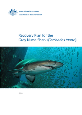 Recovery Plan for the Grey Nurse Shark (Carcharias Taurus)