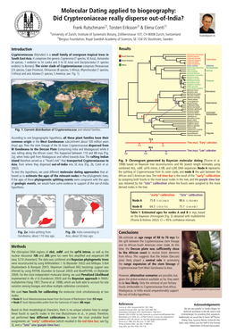 Poster Botany 2004