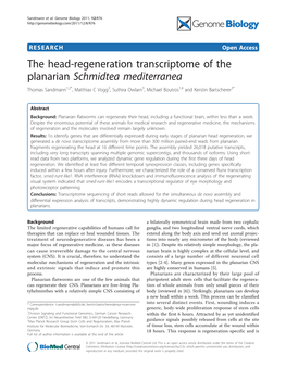 The Head-Regeneration Transcriptome of the Planarian Schmidtea