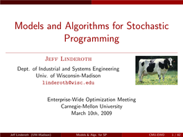 Models and Algorithms for Stochastic Programming