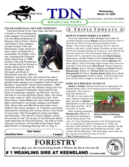 FORESTRY Among ALL Sires, the Record-Setting Grade 1 Winner by Storm Cat Was The