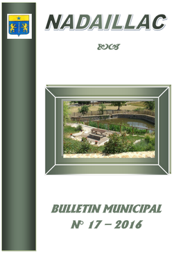 Bulletin Municipal N° 17 – 2016