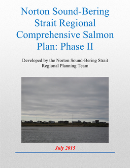 Norton Sound-Bering Strait Regional Comprehensive Salmon Plan: Phase II