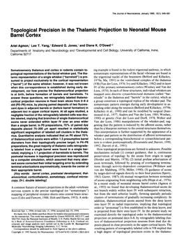 Topological Precision in the Thalamic Projection to Neonatal Mouse Barrel Cortex